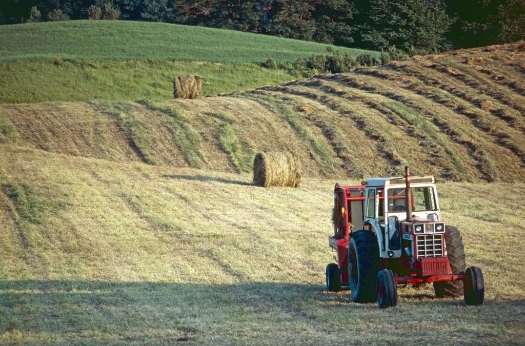 A tractor is working on a grassy field with neatly rolled hay bales