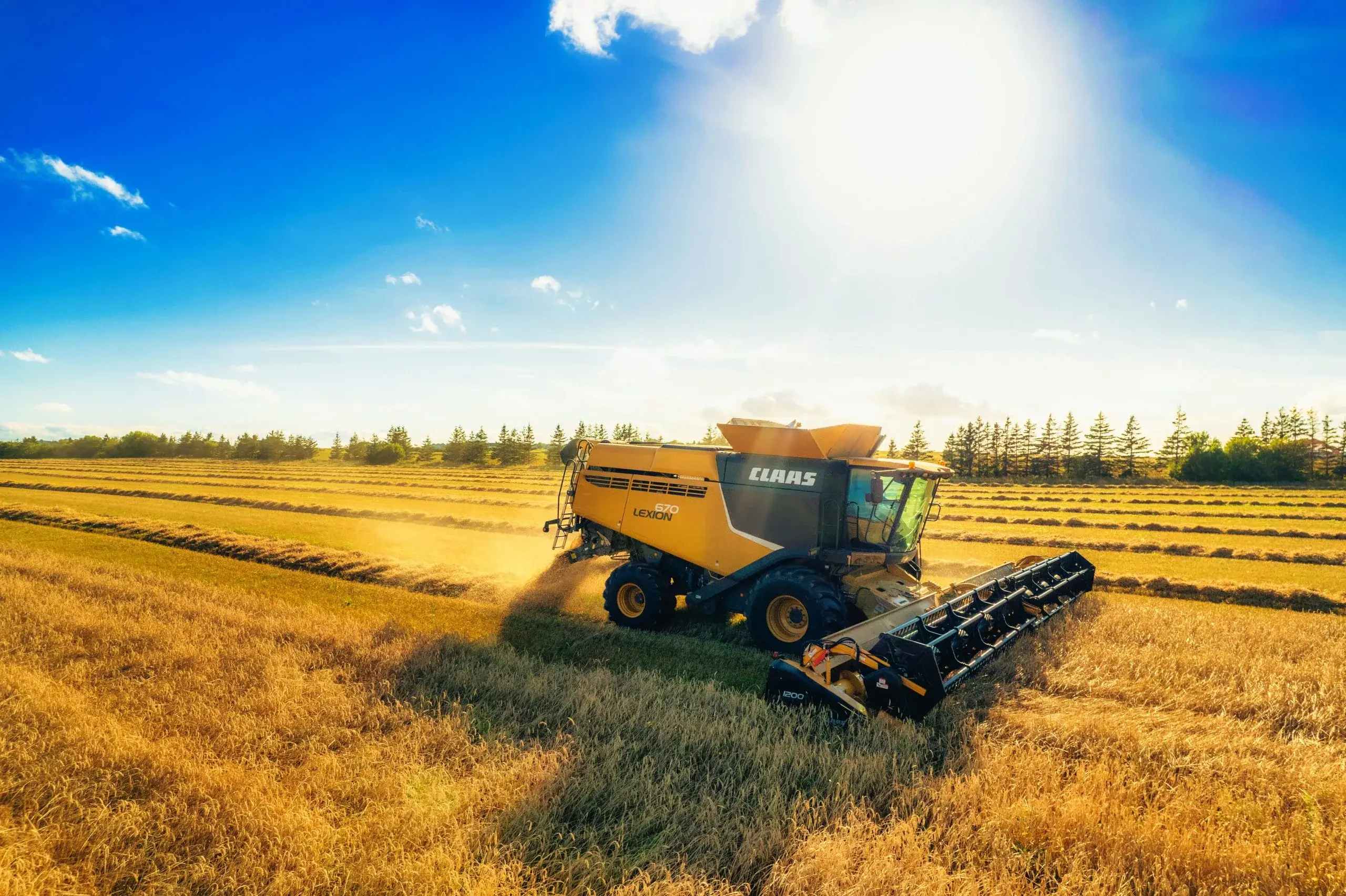 Land servicing, example 4